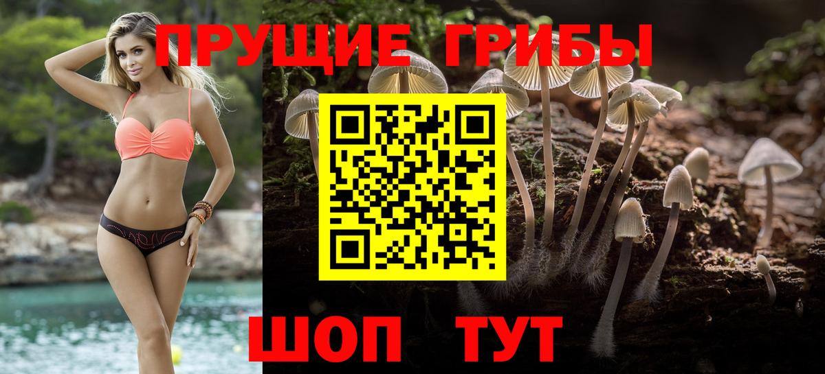 Галлюциногенные грибы GOLDEN TEACHER  Вход с VPN  Псилоцибиновые грибы Psilocybe  Лысьва 